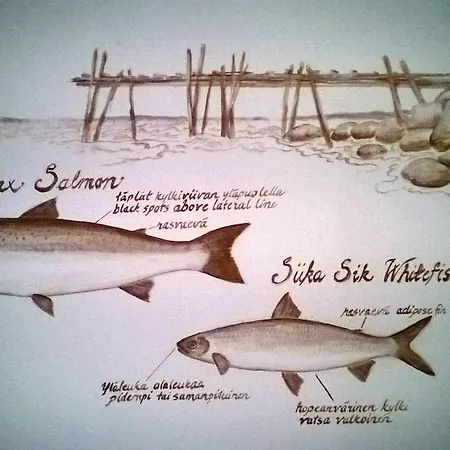 Kukkolankoski - Vierastalot Kukkola (Lapland)